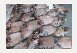 Pearl Spot_Karimeen 1 kg